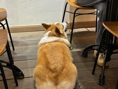 -肥朵食堂(带梦胡同店)