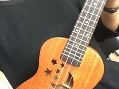-Monkey Music小猴子现代音乐