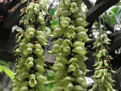 -华南国家植物园-售票处