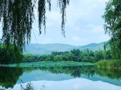 -国家植物园