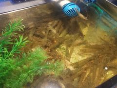 -V-ONE西雅图海鲜自助餐厅(仓山万达广场店)