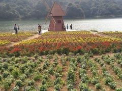 -广州市石门国家森林公园