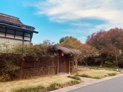 -西溪国家湿地公园