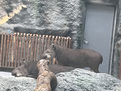 -武汉动物园