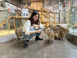 -Zoolung Zoolung动物主题公园(海信广场店)