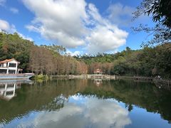 -深圳仙湖植物园