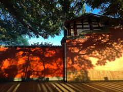 -乌山风景区