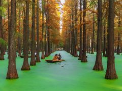 -渌洋湖湿地公园