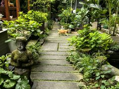 -谷咖啡·鲜花绿植花园餐厅
