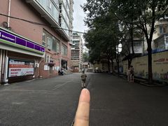 -花楸树下(观水路店)