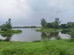 -东郊湿地公园