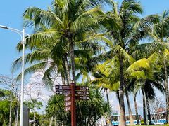 -三亚南山文化旅游区