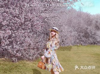 手机拍照｜打卡帝都绝美山桃花海-附调色参数