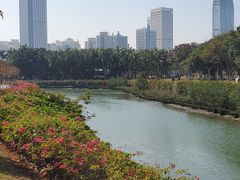 -万绿园