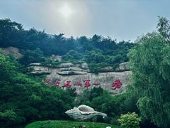 -崂山仰口游览区