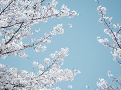 -上海辰山植物园