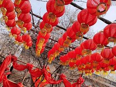 -大槐树寻根祭祖园