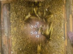 -福禧酒窖·中餐厅 (万柳店)