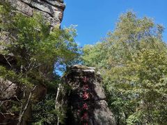 -汤旺河林海奇石景区