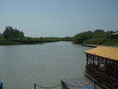 -泗洪洪泽湖湿地景区