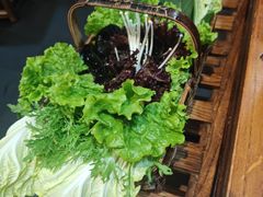 -南门四季铜锅涮肉(左家庄店)