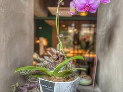 -十一咖啡(青年大街工厂店)