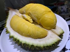 -榴梿乐园