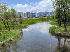 -洱海月湿地公园