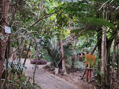 -呀路古热带植物园