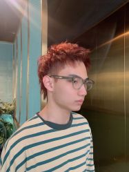 -杜尚发型