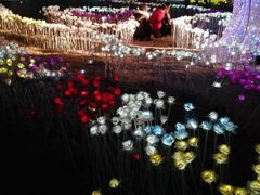 -秀丽东方