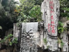 -广州市流溪河国家森林公园