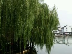 -金鸡湖桃花岛