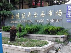 -金陵花卉交易市场