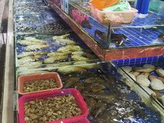 -鸿港海鲜批发市场