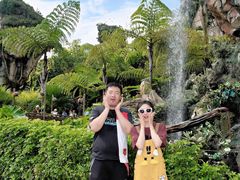 -奥兰多迪士尼动物王国乐园