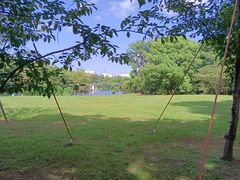 -上海共青森林公园