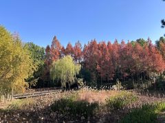 -长广溪湿地公园