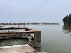 -巢湖姥山岛