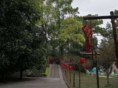 -南山植物园