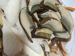 -菌之家·专业纯野生菌火锅·特色炒菌