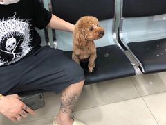 -宠颐生中康贝怡动物医院