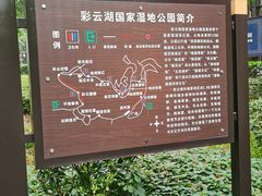 -重庆彩云湖湿地公园