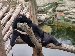 -大连森林动物园