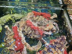 -揭阳钟记小食(福田新村店)