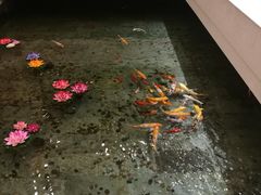 -听松楼·花园酒店·自助餐厅(红梅公园店)
