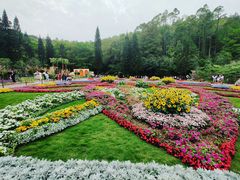 -深圳仙湖植物园