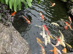 -聚福宝合苑食府(南头镇店)