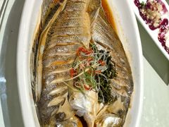 -闫水饺大酒楼·北京老闫靓马饺子馆