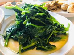 清炒豌豆尖-眉州东坡(北苑华贸店)